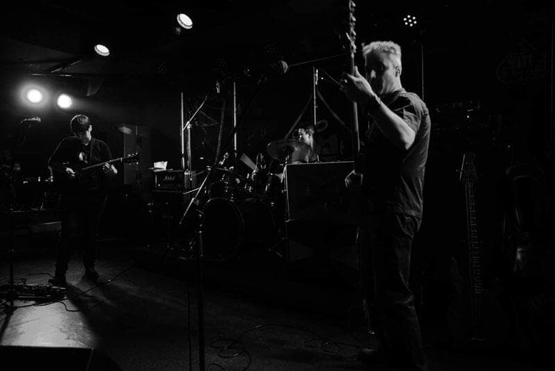 Cynical Ants Avoidance {a​}​void​[​ance] Fuzzy Hound The Music Blog