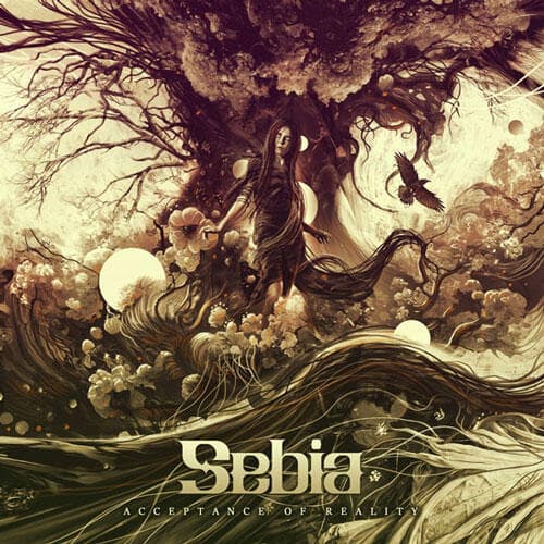 Sebia Acceptance of Reality Fuzzy Hound The Music Blog