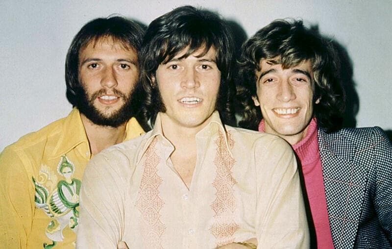 Bee Gees Saturday Night Fever Fuzzy Hound
