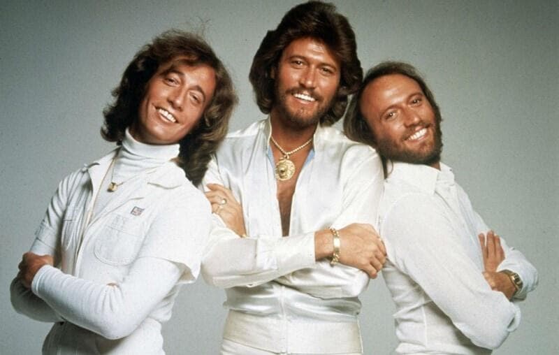 Bee Gees Saturday Night Fever Fuzzy Hound