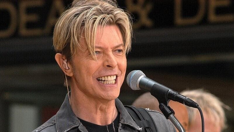 Blackstar David Bowie Fuzzy Hound