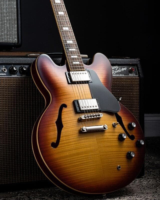 Epiphone Fuzzy Hound The Music Blog