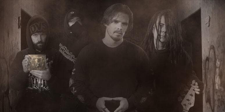 Grande Fox Empty Nest Fuzzy Hound The Music Blog