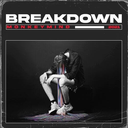 Monkey Mind Breakdown Fuzzy Hound The Music Blog