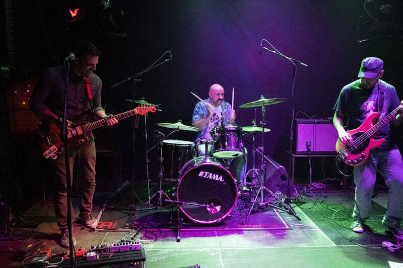 Nux Monstro Irene Ketikidi Six Dogs Fuzzy Hound The Music Blog