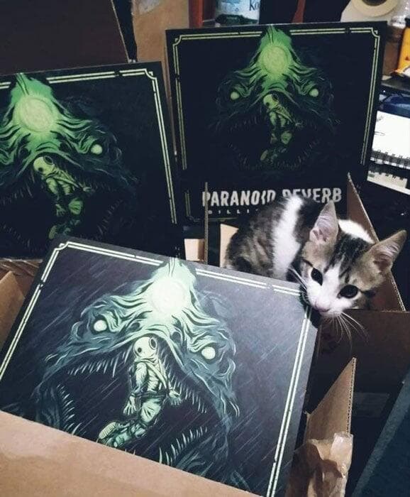 Billion Drops Paranoid Reverb Fuzzy Hound The Music Blog