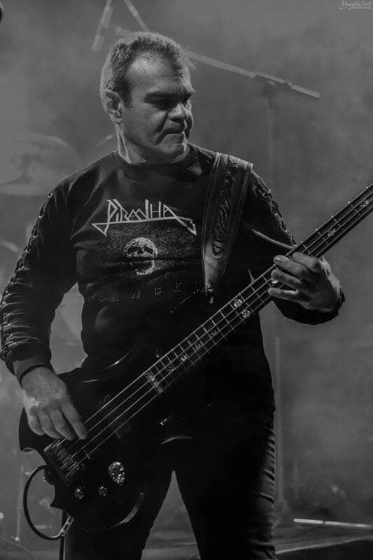 Arise From The Shadows Piranha Fuzzy Hound The Music Blog