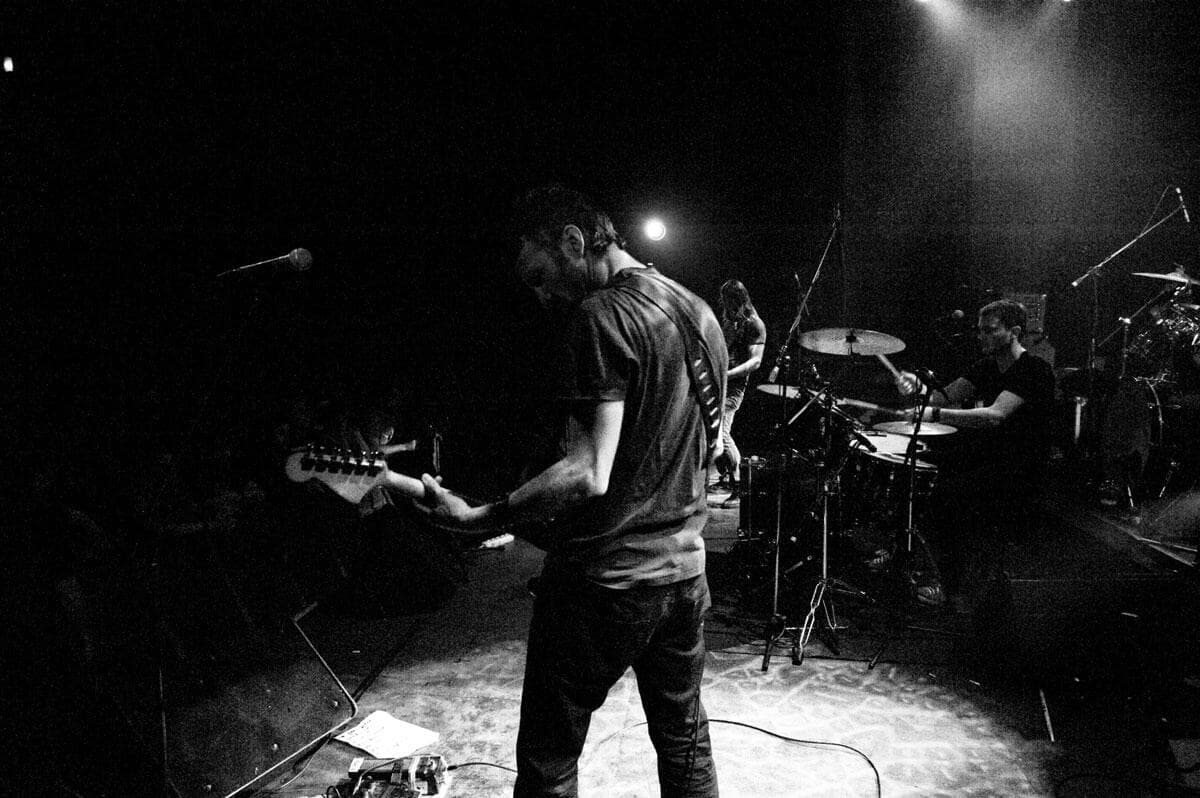 Trip to Venus The Screaming Fly Fuzzy Hound The Music Blog