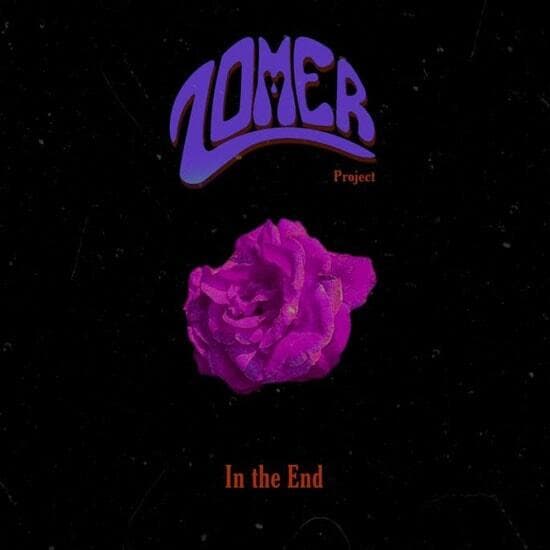 Zomer Project In the End Fuzzy Hound The Music Blog