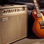 Fuzzy_Hound_Gibson2