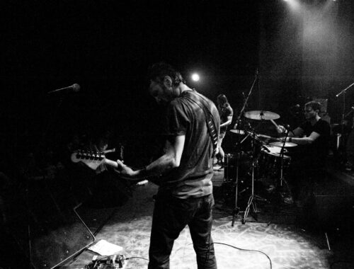 Trip to Venus The Screaming Fly Fuzzy Hound The Music Blog