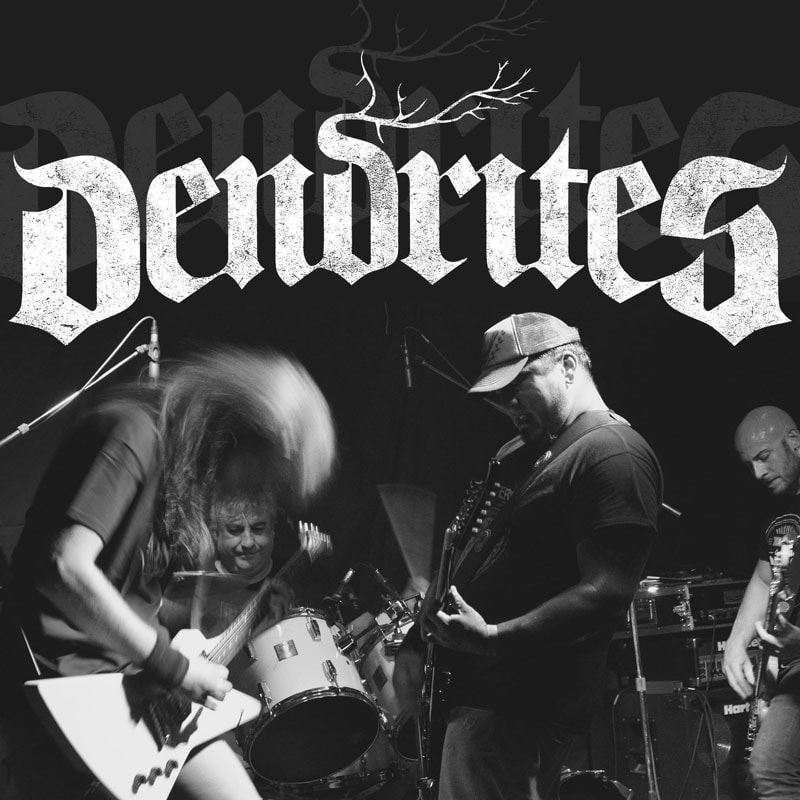 Dendrites Grow Fuzzy Hound The Music Blog