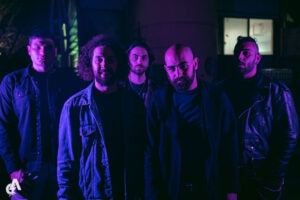 Sebia Acceptance of Reality Fuzzy Hound The Music Blog