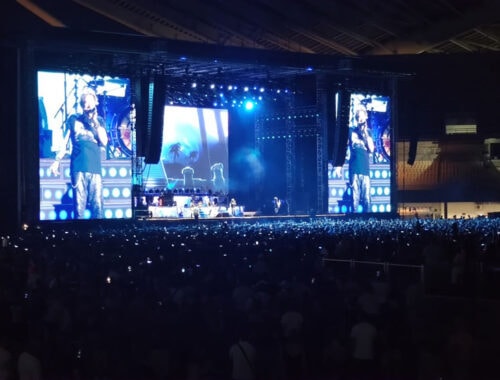 Guns n' Roses Athens Fuzzy Hound The Music Blog
