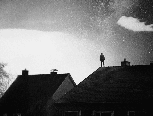 In Your Absence Fuzzy Hound The Music Blog