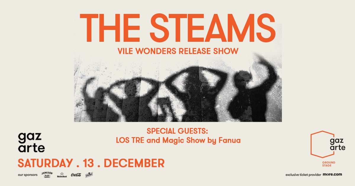 Steams Fuzzy Hound The Music Blog