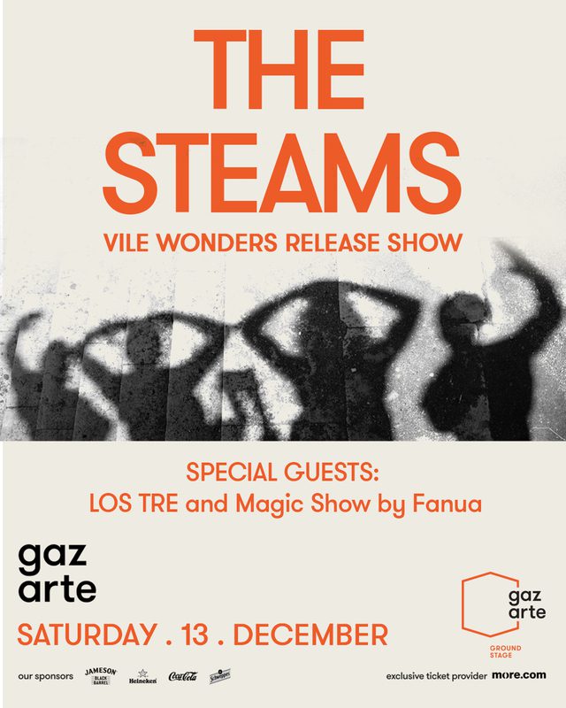 Steams Fuzzy Hound The Music Blog