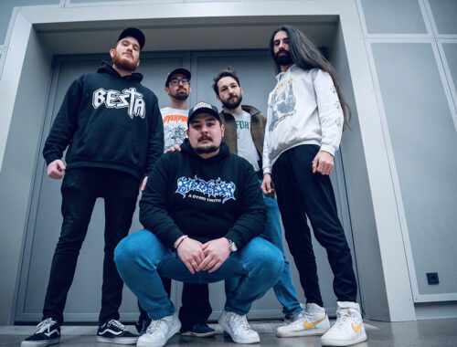 Blanket Hill Fuzzy Hound The Music Blog